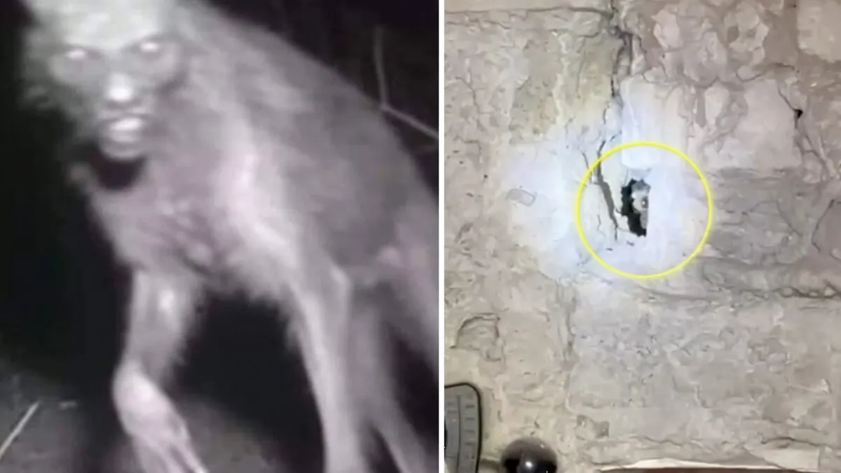 ¿Qué es? Ojo en la pared causa escalofríos en TikTok