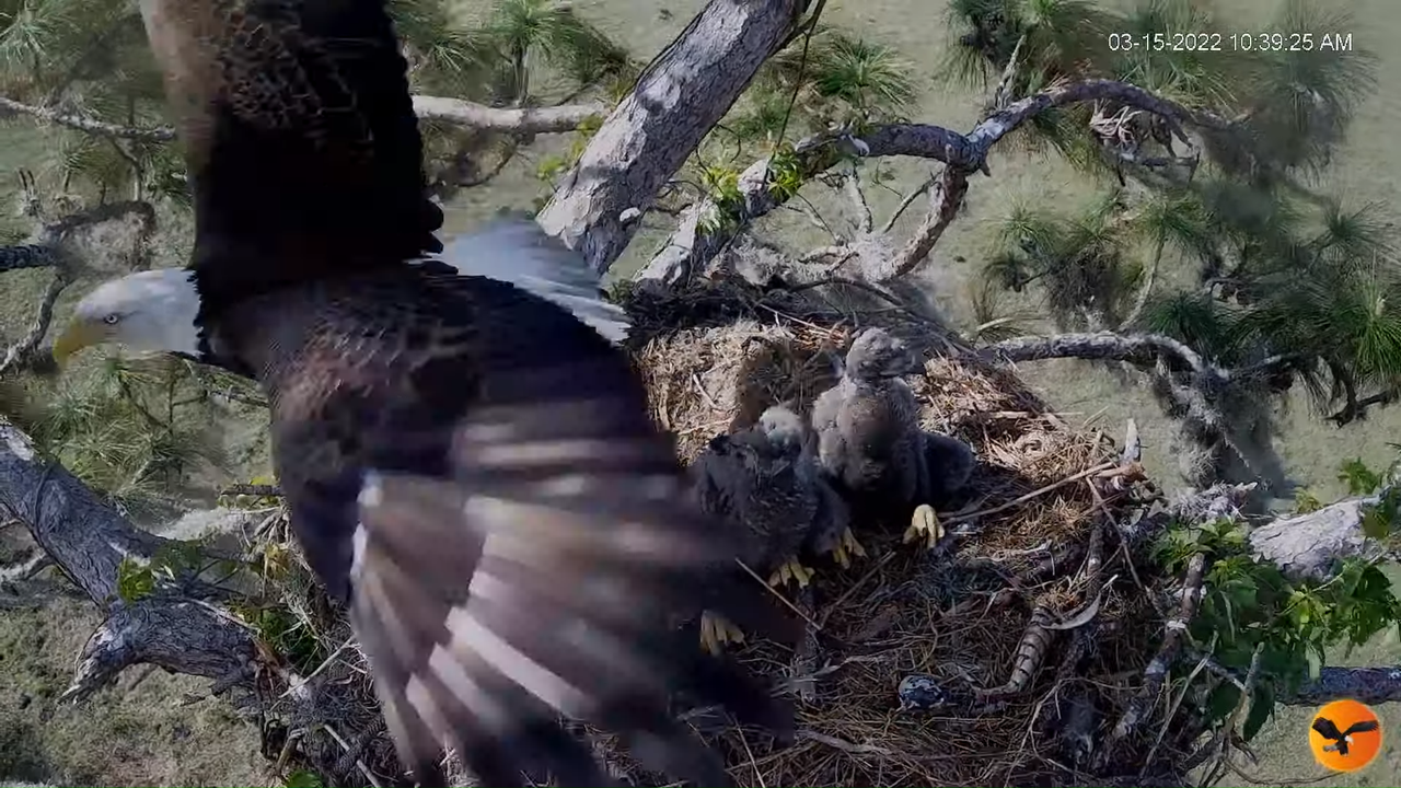 EC 4K Overhead Cam 7-48-37 screenshot (1)