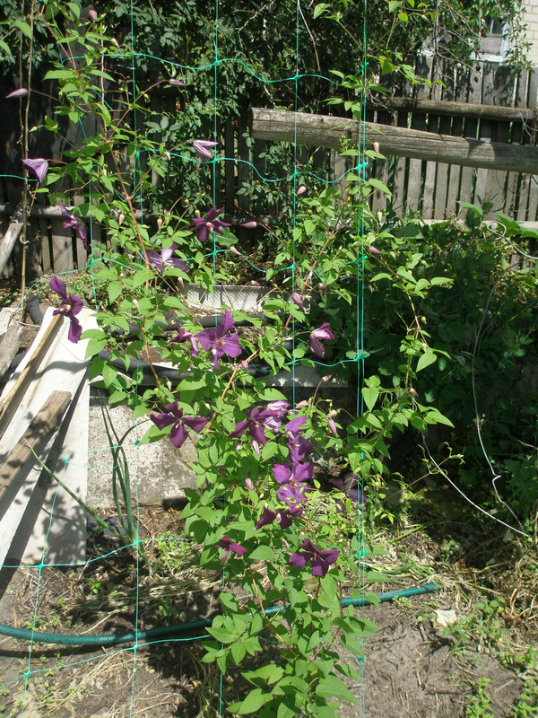 P6021893