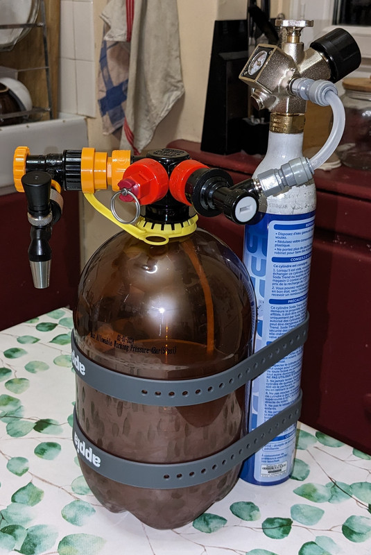 PXL_20240424_194824887