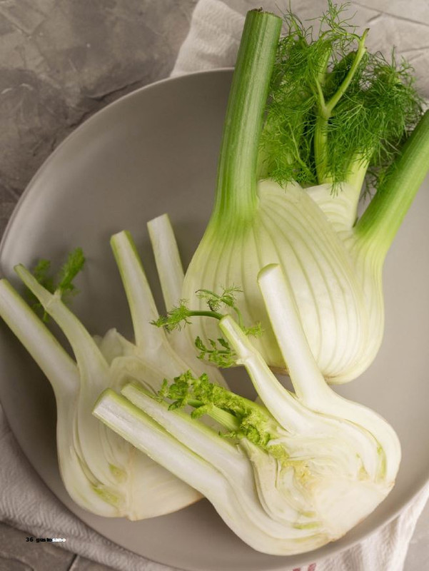 gus - Feb-Mar 2025 (1)