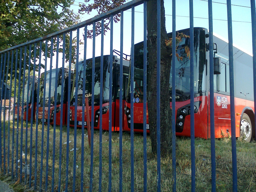 Slika63784