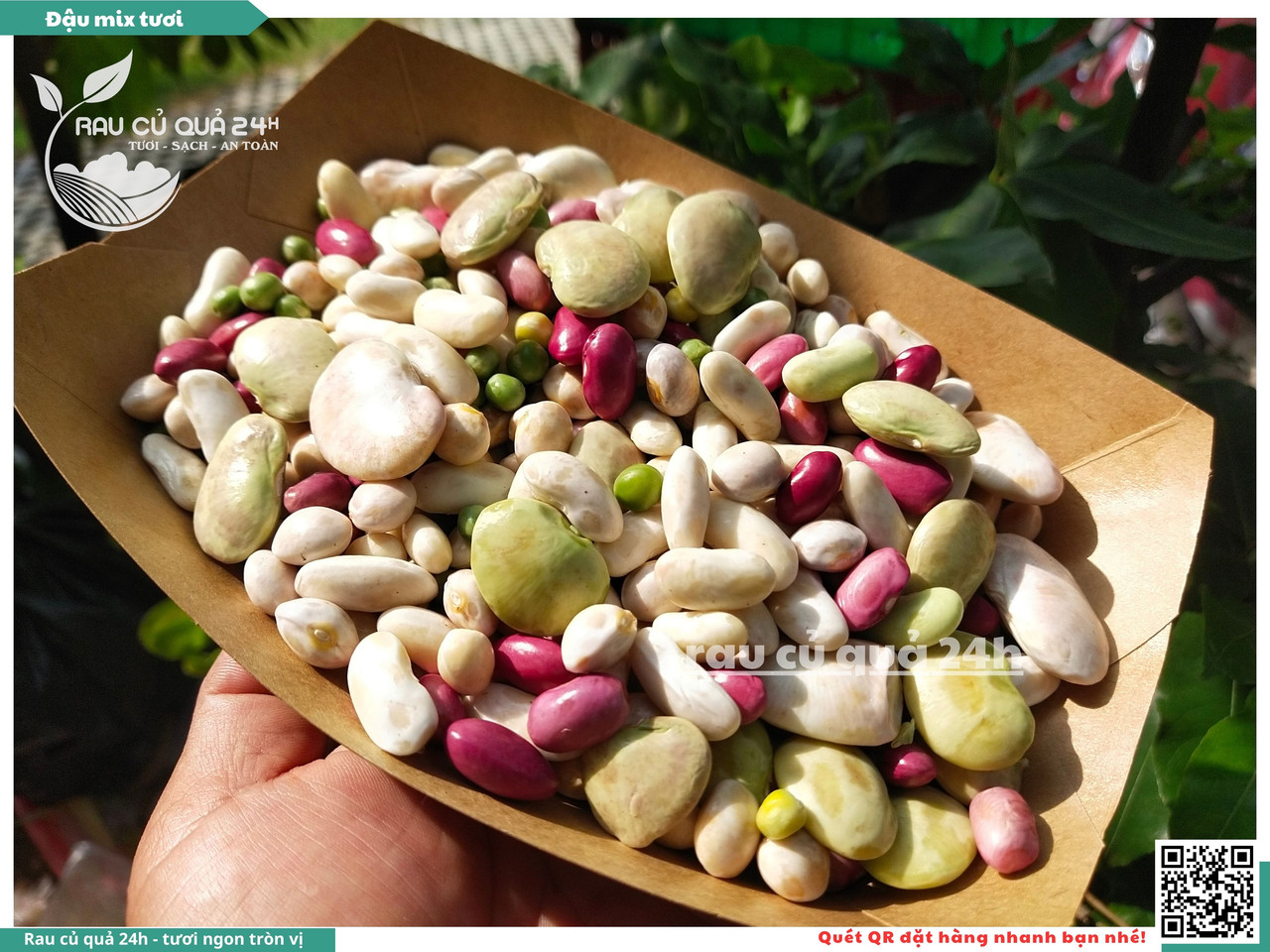 Đậu Mix Tươi 14