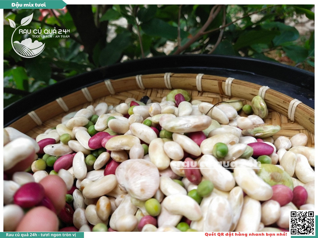 Đậu Mix Tươi 9