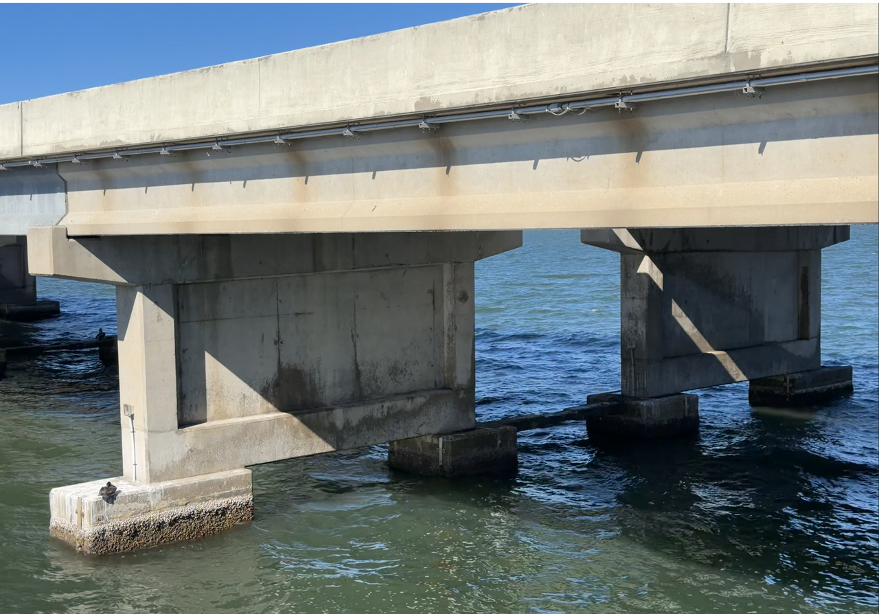 [Image: Sky-Way-Bridge-From-The-Fishing-Pier4.png]