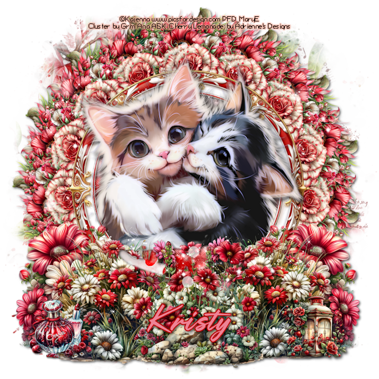 Kajenna Cherry Lemonade Kristi MP26