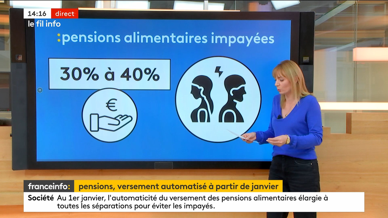 Le fil info 14h 2022_12_29_12_59_00.ts_snapshot_00.20.27.241