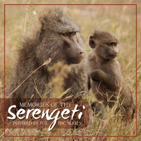 VA - Memories of the Serengeti (2019) FLAC