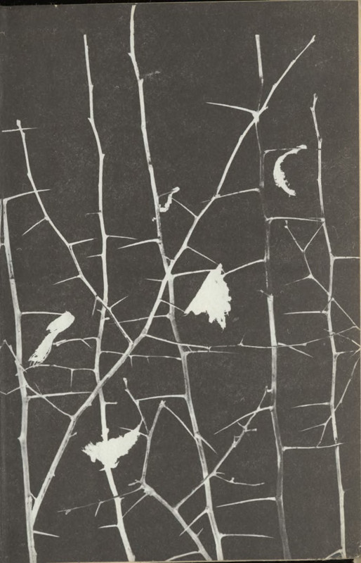 p0003