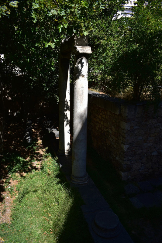 DSC 0020