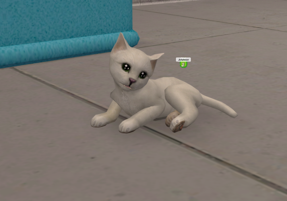 Sims2-EP9-RPC-2021-11-06-16-15-27-69