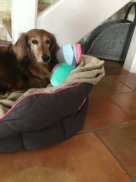 [Image: 3-BDEF4-EF-F26-C-4-B7-A-A2-ED-D4152-A70-E242.jpg]