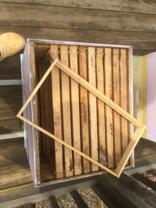 1-D1DC7FE6-2A88-494D-A6DF-929EF441B5C2