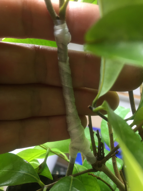 442748AB-53C7-4360-9E46-379D3D6E47F6