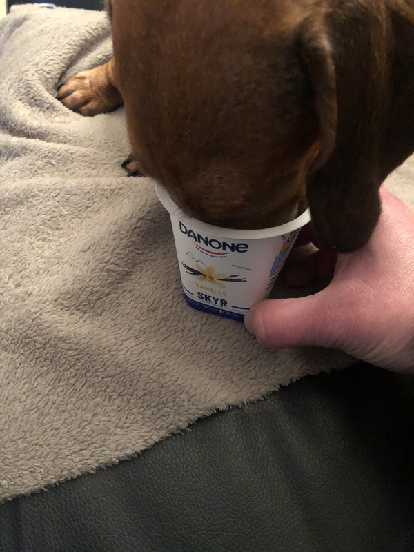 [Image: IMG-3186.jpg]