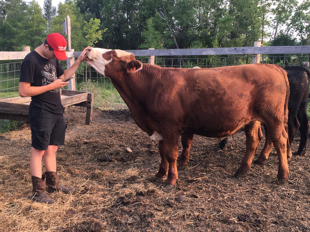 9267D4F8-5DBB-47F6-B9BB-B34D7A807AA2