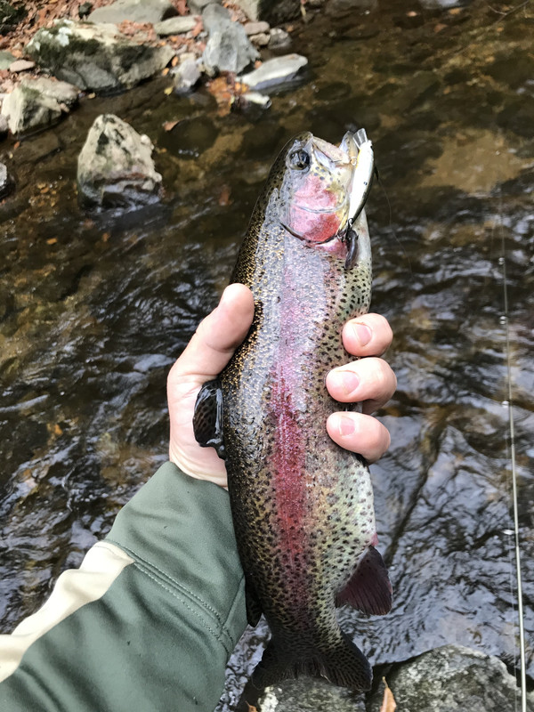 0EAC40C9-E9E4-4DD6-8AB1-0E133B6B8CE7