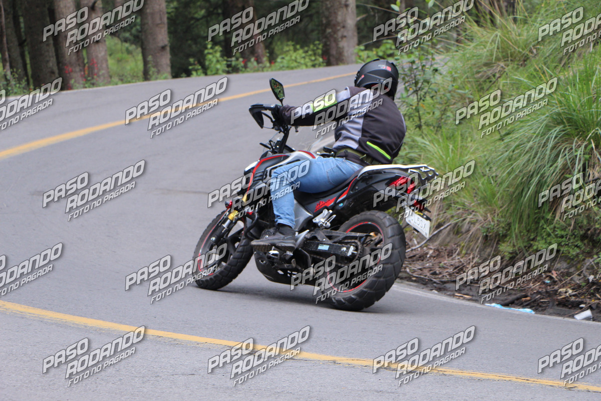 IMG 1360 wm 1568239 2 watermarked — Postimages