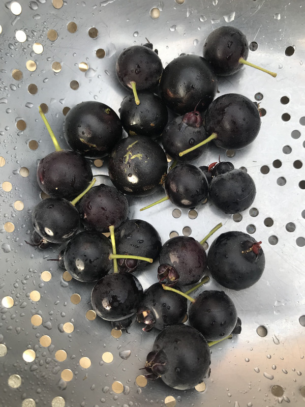 3973366A-3CFC-4625-AD00-A455DA8C9512