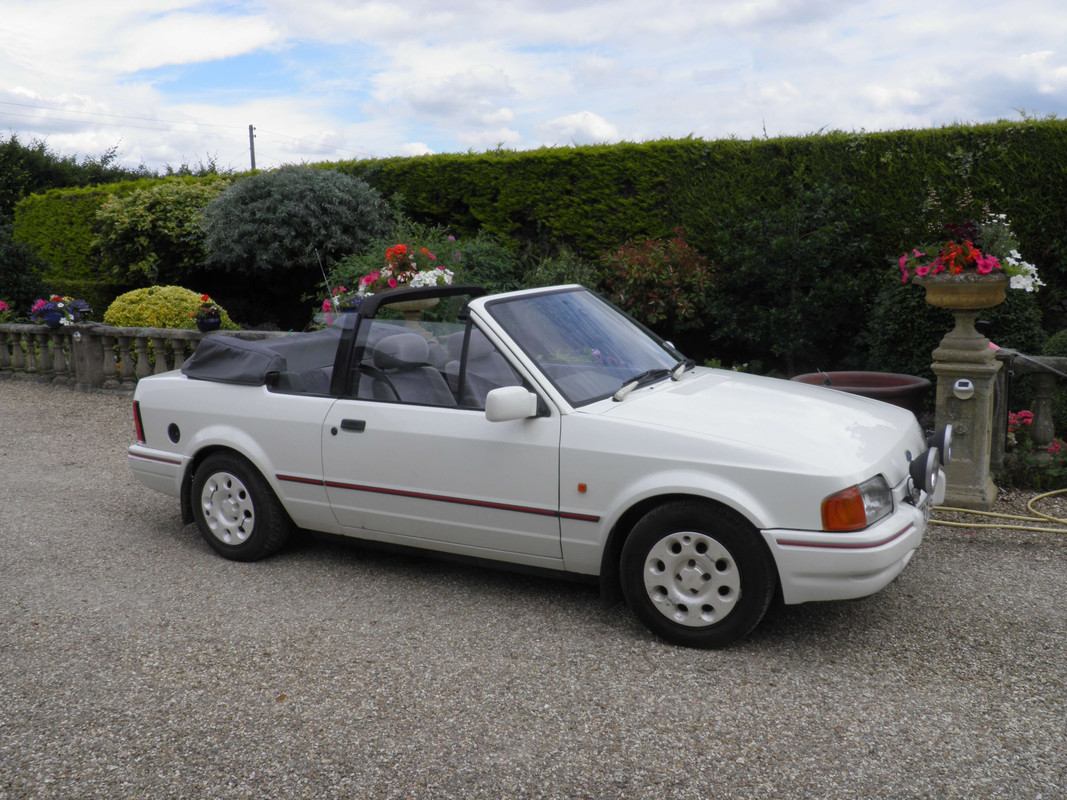 24D0818F-C614-477B-BC2E-3F3642006E41