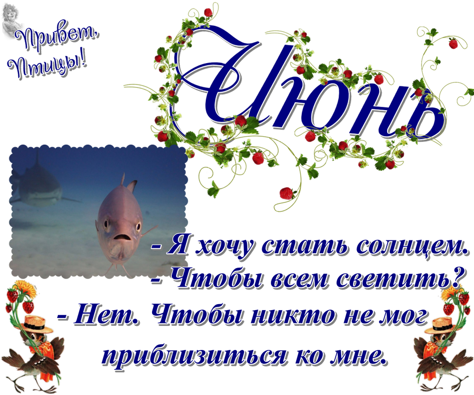 https://i.postimg.cc/mD8cF244/03-06.png