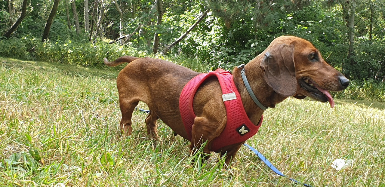 [Image: 20200626-162720.jpg]