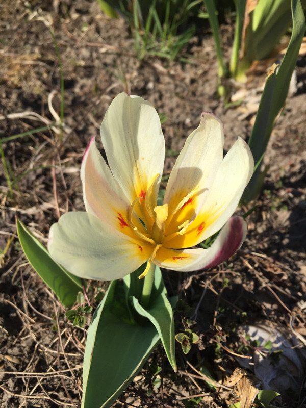 ED03D44D-163A-46D1-B1A8-A828C112B8E4