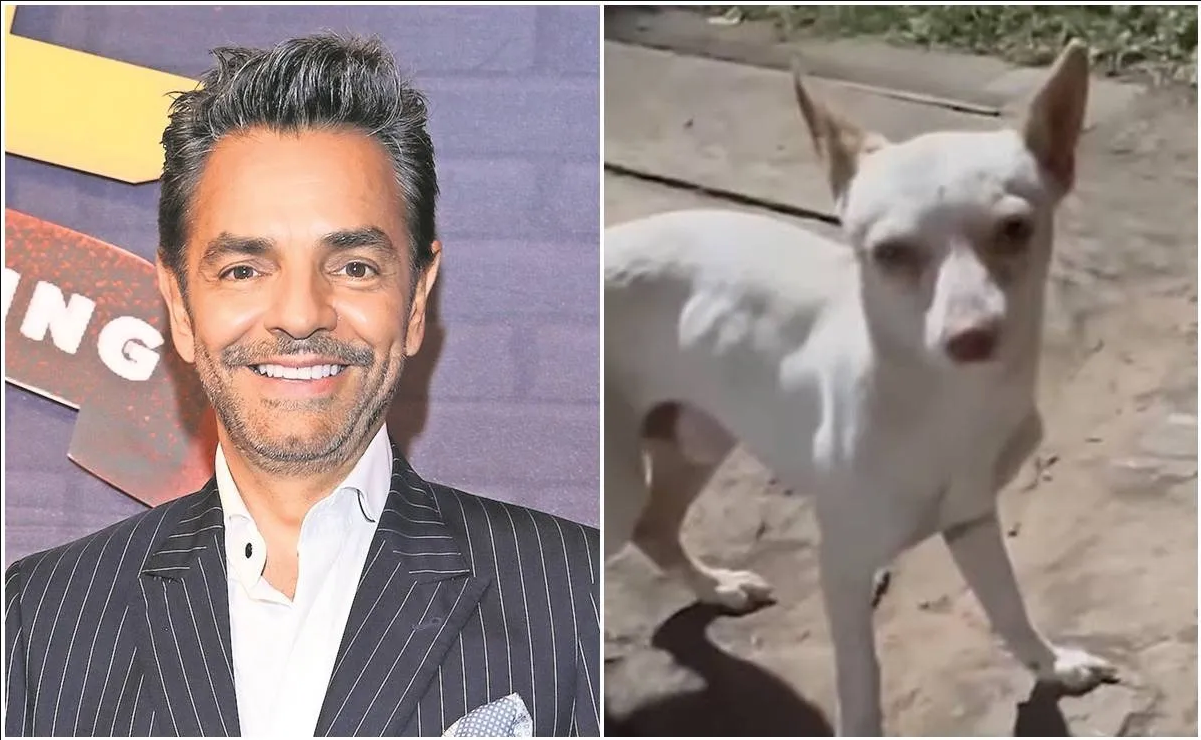 Eugenio Derbez conmueve las redes al rescatar a un perrito