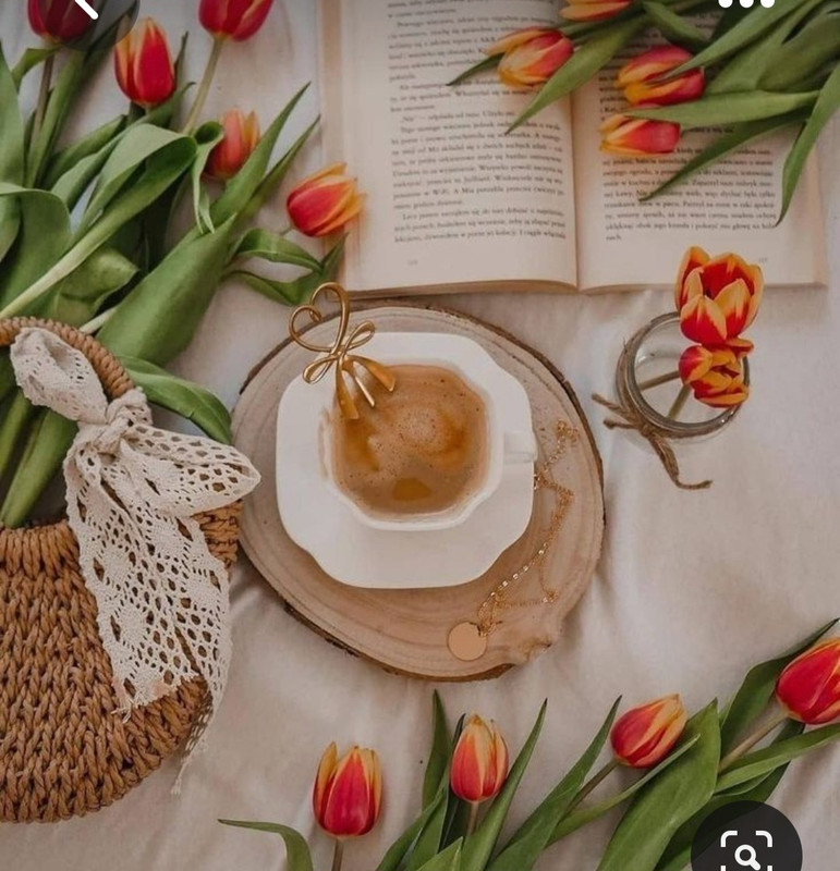 Screenshot_20230421_000337_Pinterest