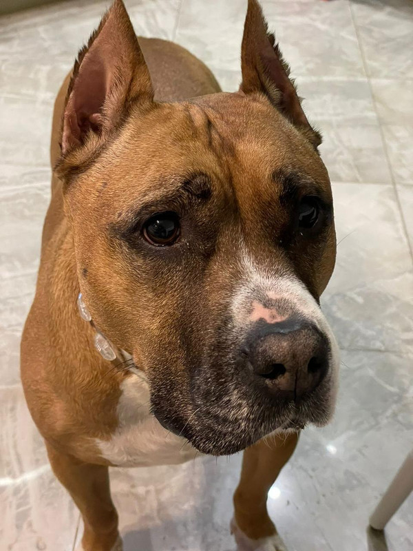 1010A4AA-66DF-4E1D-B63B-73D1117AB2A3