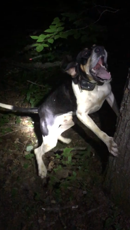 76ABE56C-B060-41C9-9F4D-7599257E2AC2