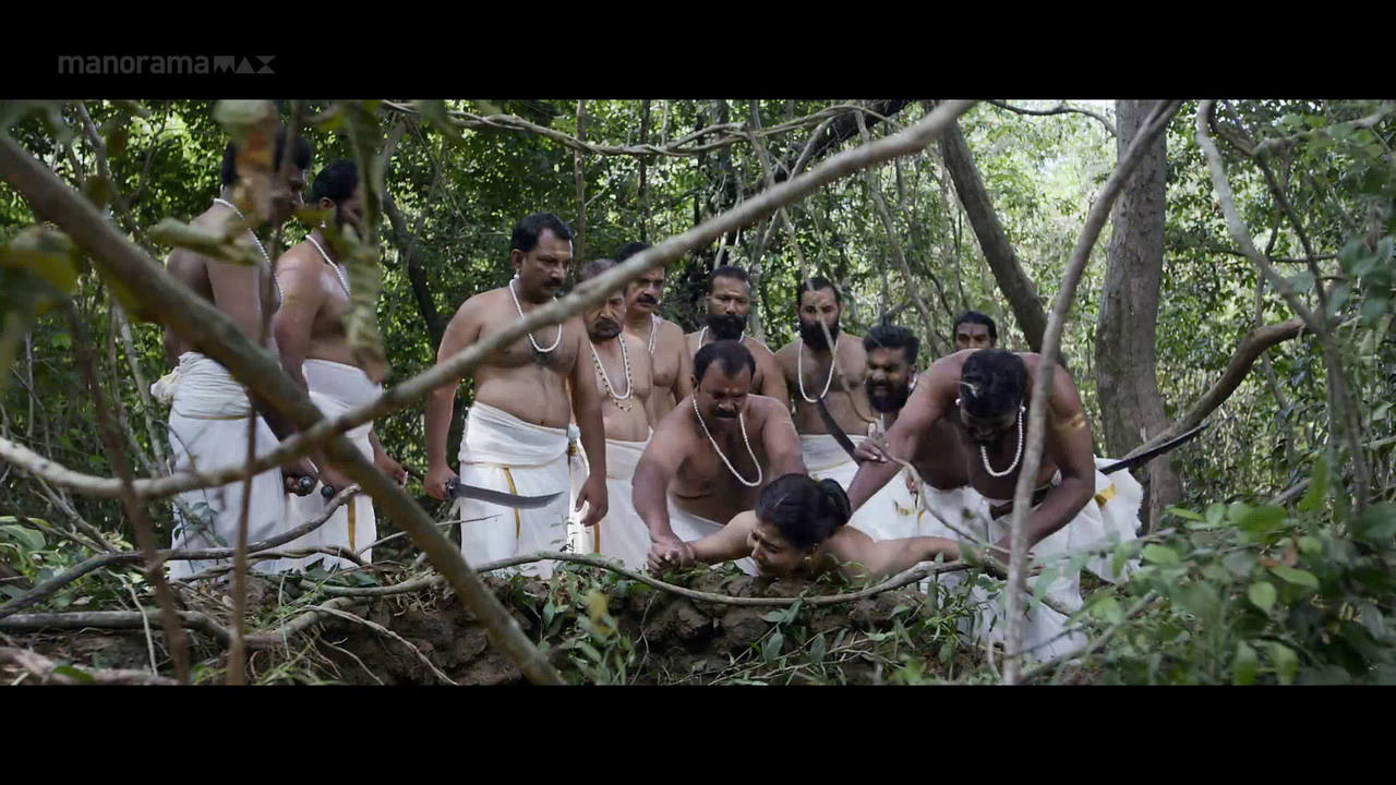 vlcsnap 2026 02 06 17h23m12s796