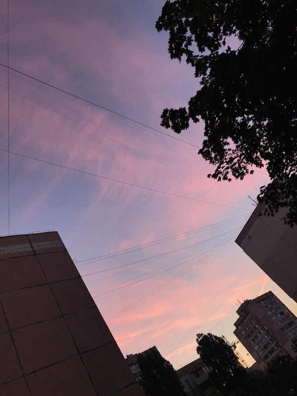 photo5307847312158075327