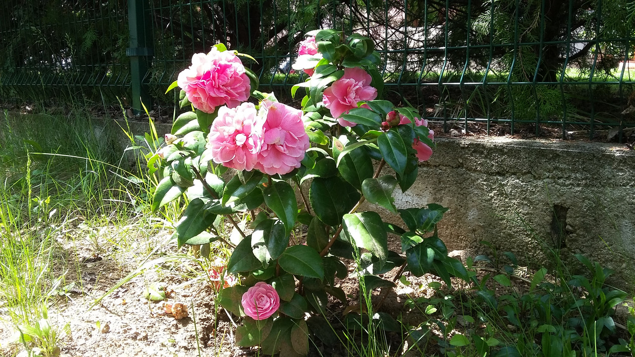 20190421_132159