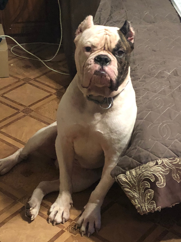 E3356987-A6D2-40DB-AB31-622D5E8FDCE9