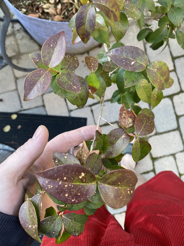 E11DBA5B-C5A3-413A-B71D-154EB5794364