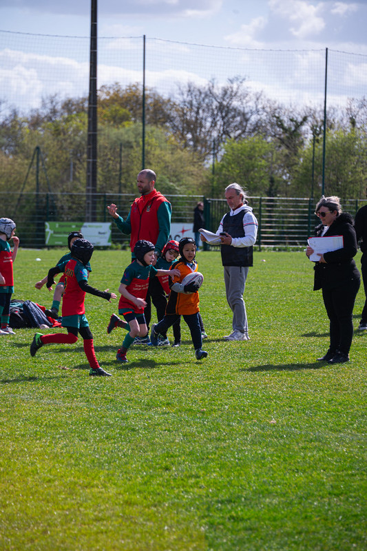 tournoi-de-latlantique-2026-adonis-griffon-70-55181457718-l