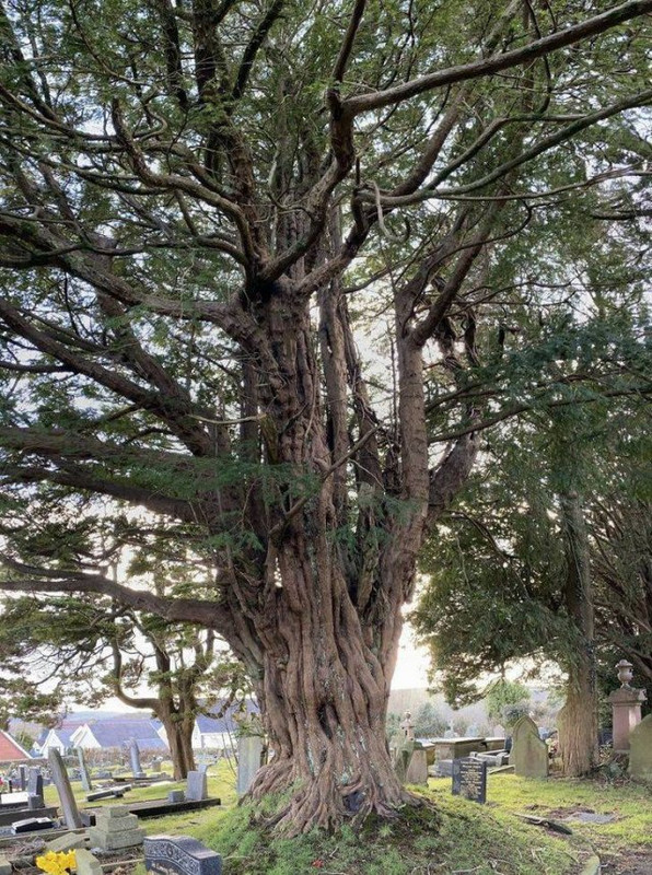 Naturaleza-8