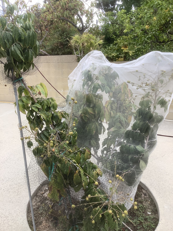 FF2F5304-49FB-46BE-9464-C6B9B5A0B514