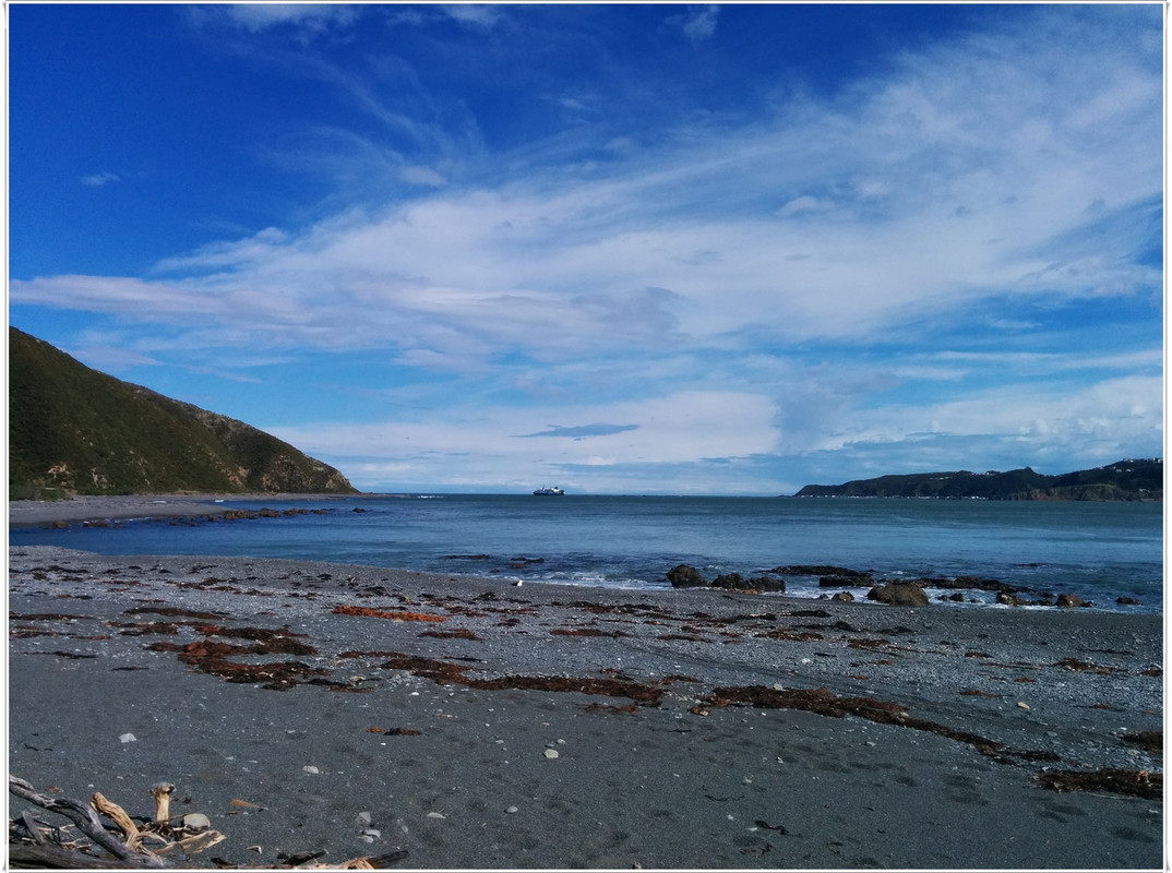 Escapadas y rutas por la Nueva Zelanda menos conocida - Blogs de Nueva Zelanda - Wellington más allá del Te Papa y el Cable Car (26)