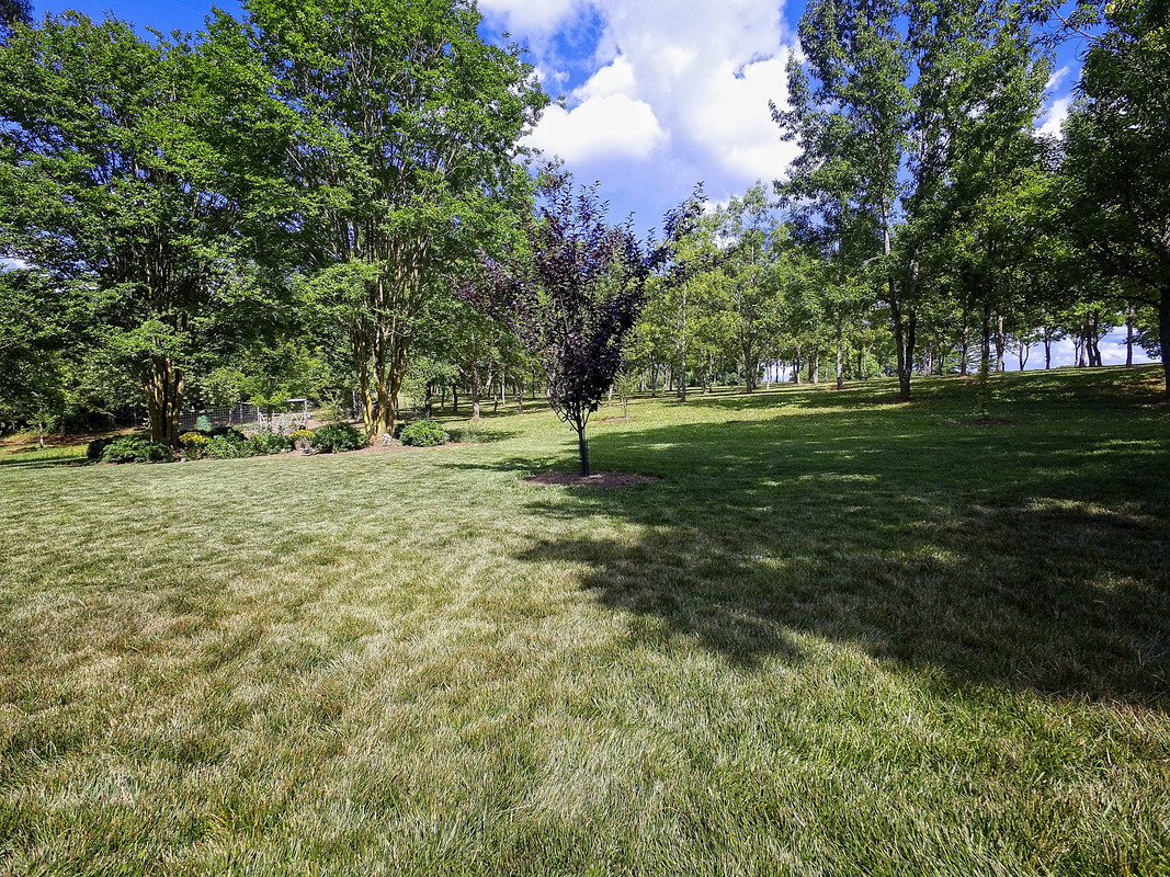 DJI 0040 — Postimages
