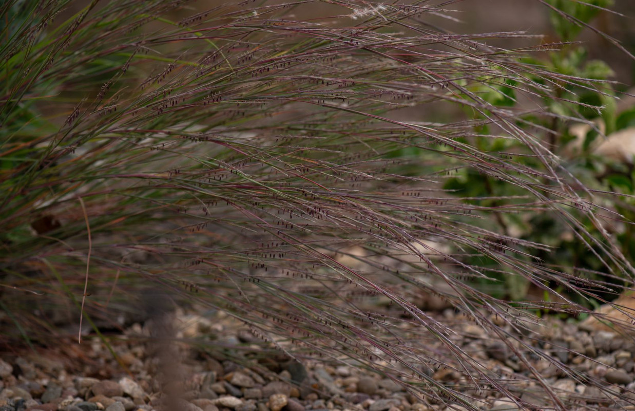 IMG-75aa6ea61a5b0d72b54143a6854231f9-V