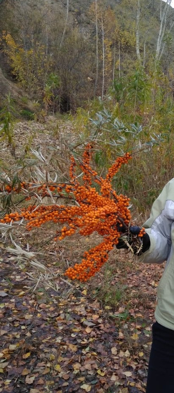 5AF4C4D0-5B6D-4CD1-9ABC-A9DFEDF7DD3A