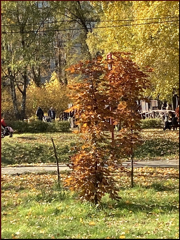 https://i.postimg.cc/mDCDXQzg/38.jpg