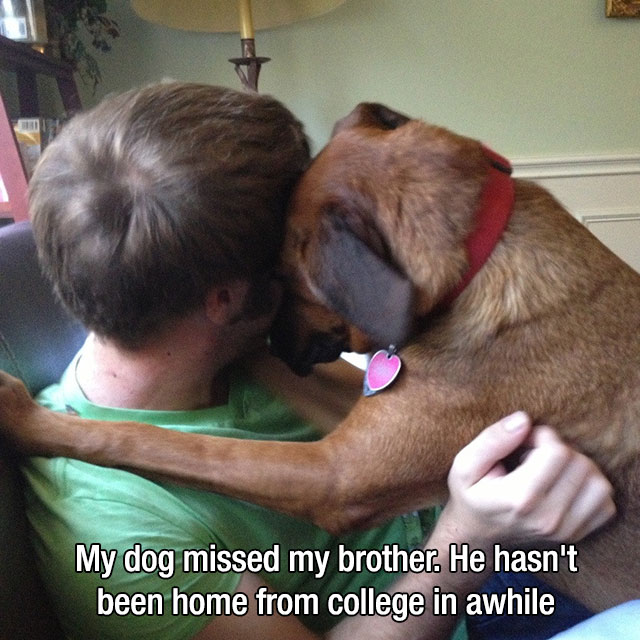 mans-best-friend-17