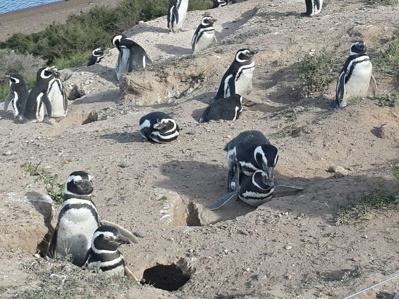 20131009_165224_Richtone(HDR)