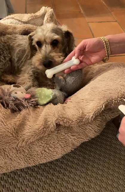 [Image: B02-CA2-E3-7452-458-A-9-B95-4192395685-D5.jpg]