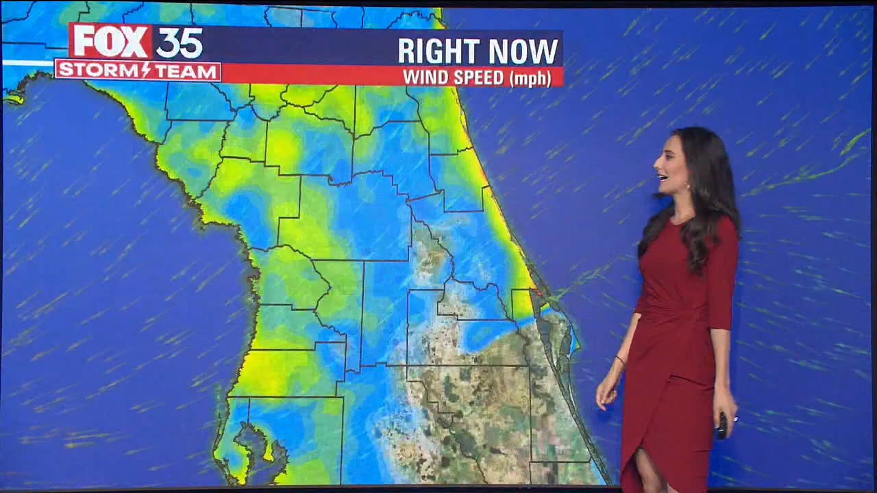 11.05 - 12.00.00 - Good Day Orlando at 8am  ᴺᵉʷ. Morning news..ts_snapshot_32.47.442