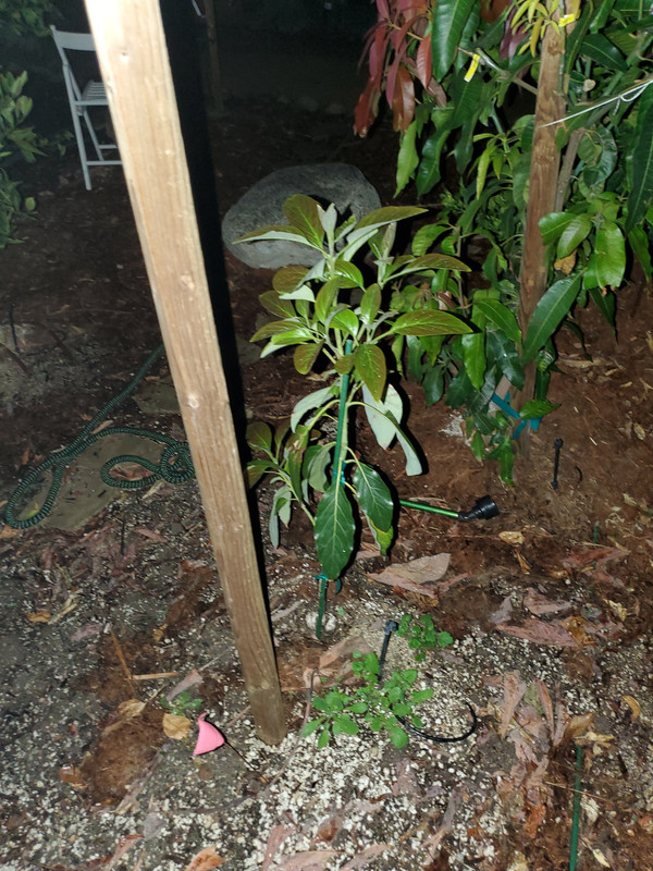20191203_231159