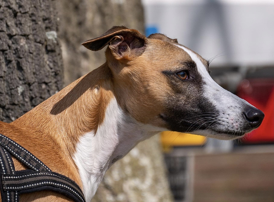 212D83C9-3478-4E51-9E44-E658C7CFCFD1